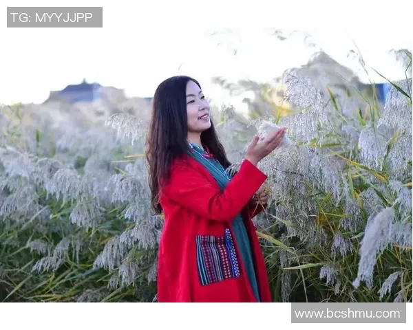 钟意于暖阳下的李白成长岁月与诗意人生探寻